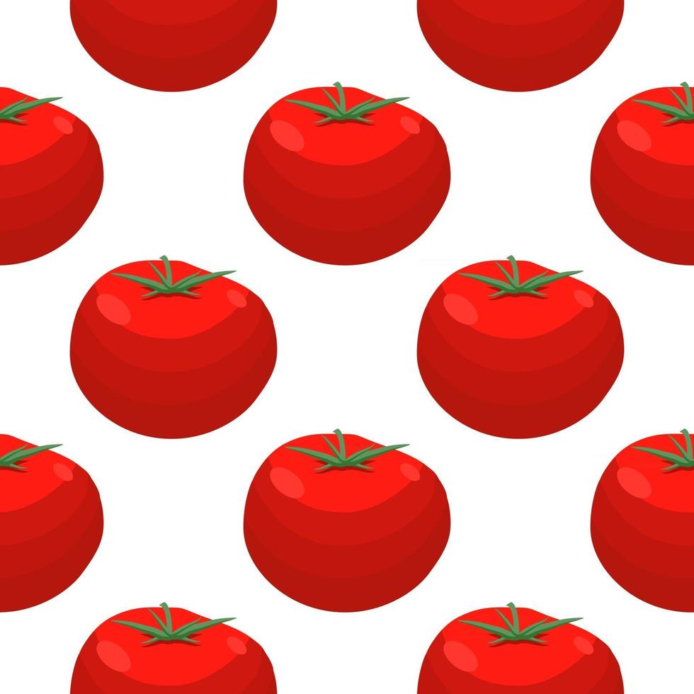 Illustration on theme of pattern red tomato vector