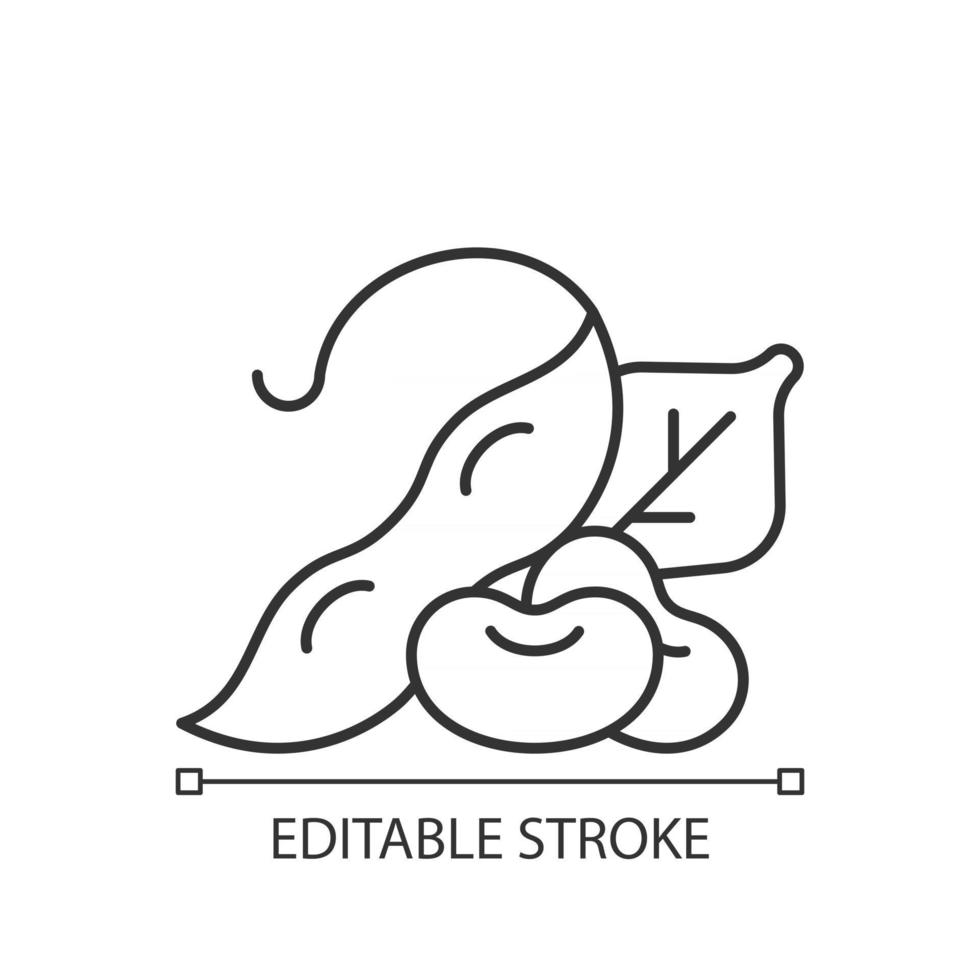 Edamame linear icon vector