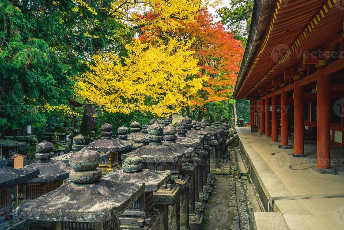 Kasuga Taisha, a shrine of one Thousand Lantern at Nara, Kansai, Japan photo