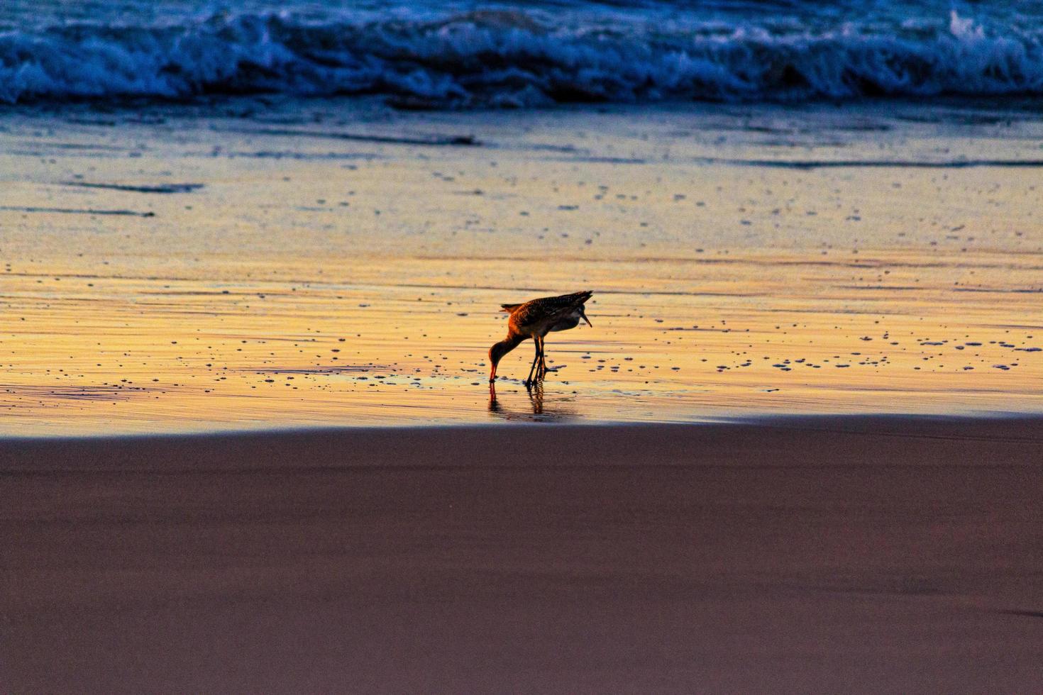 Sunset at Playa del Rosarito - Rosarito Beach, Mexico 2019 photo