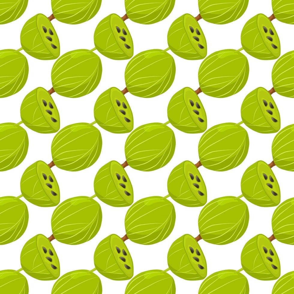 Theme big colored seamless gooseberry vector