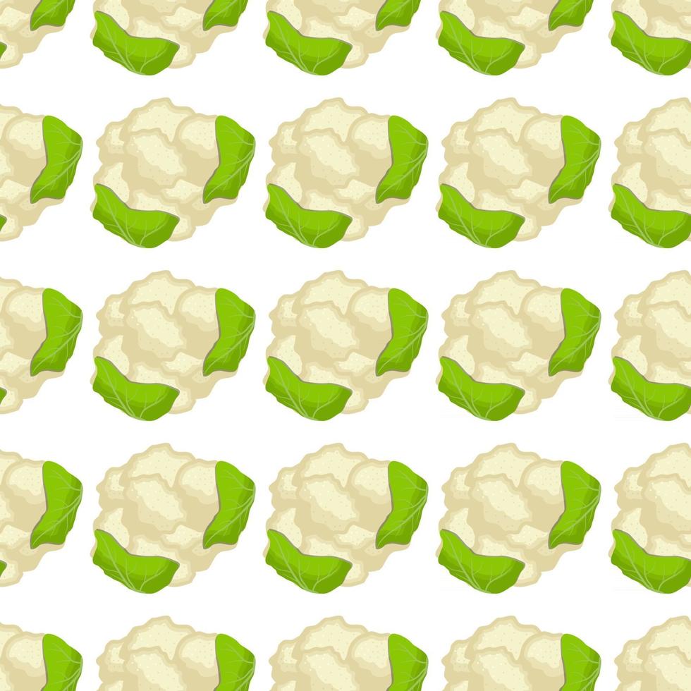 Illustration on theme of bright pattern cabbage vector