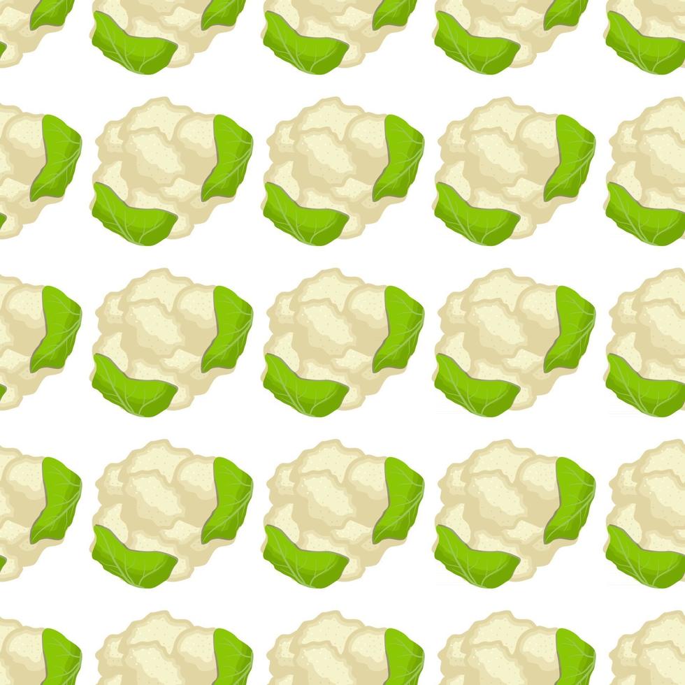 Illustration on theme of bright pattern cabbage vector