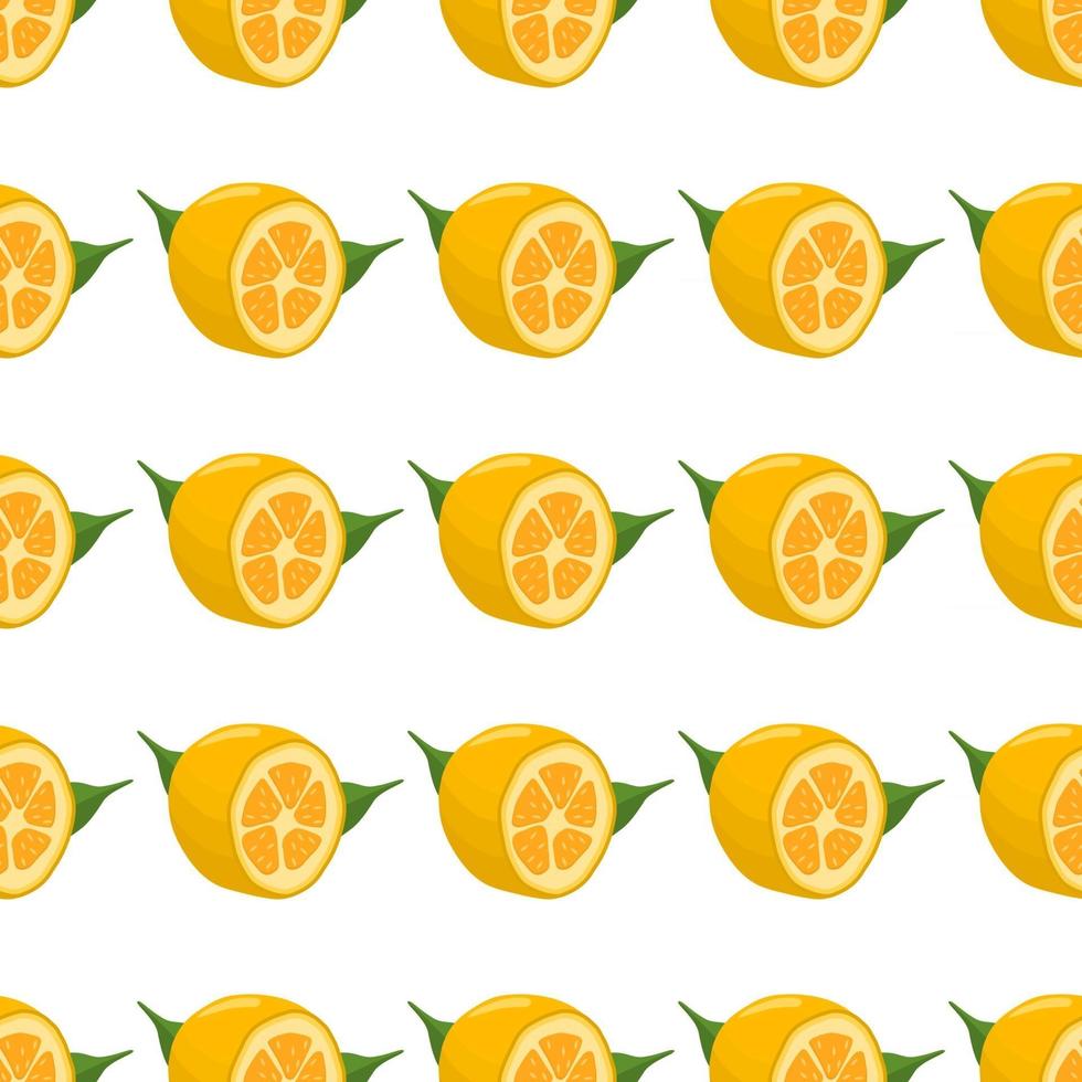 Ilustración sobre el tema kumquat transparente de color grande vector