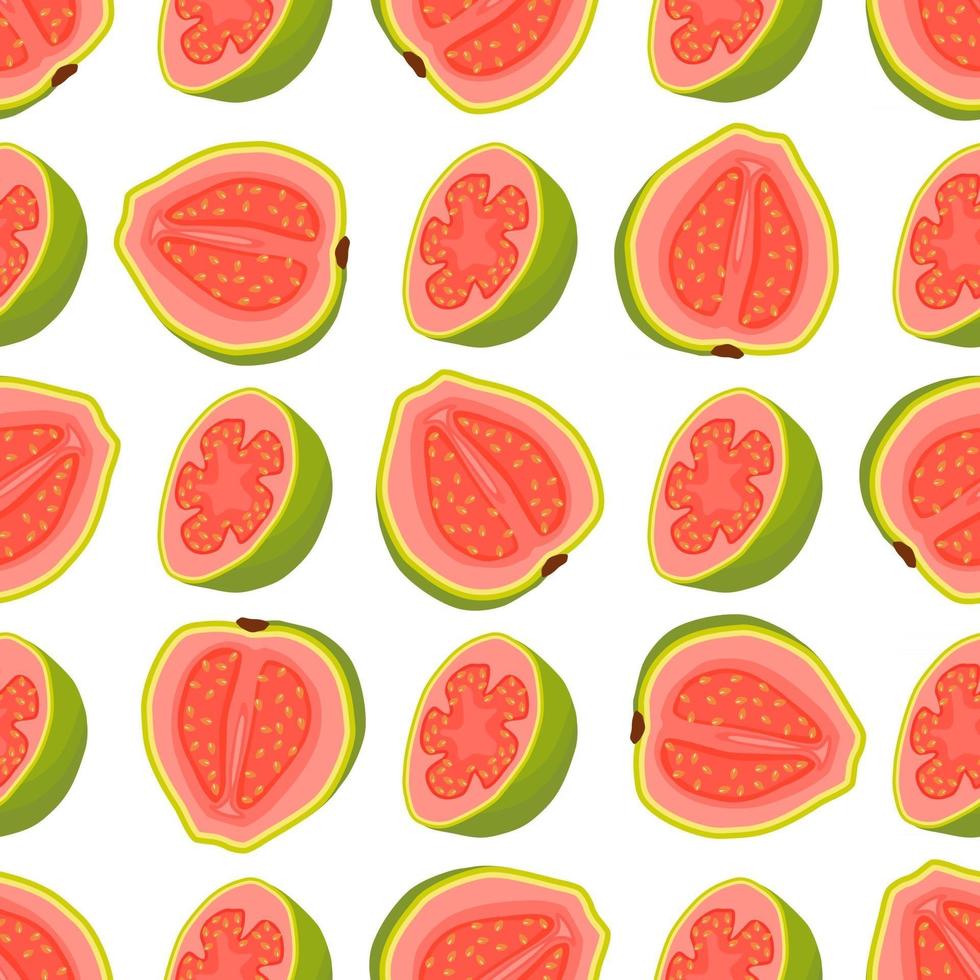 Illustration on theme big colored seamless guava vector