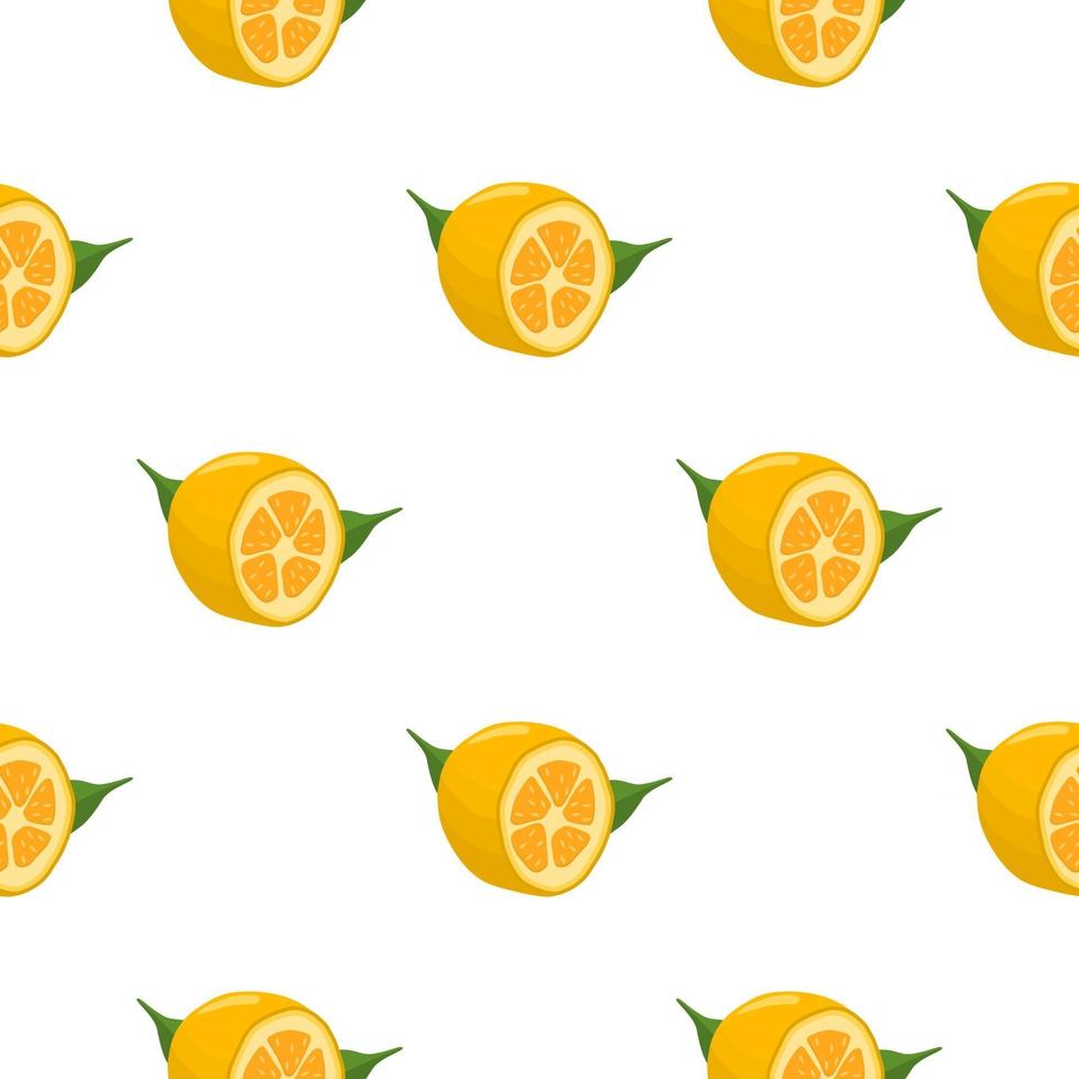 Ilustración sobre el tema kumquat transparente de color grande vector