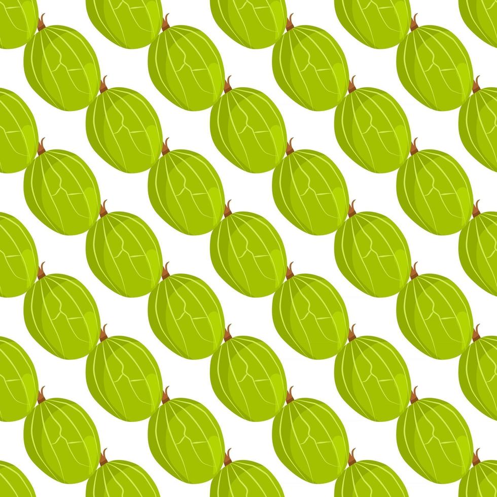 Theme big colored seamless gooseberry vector
