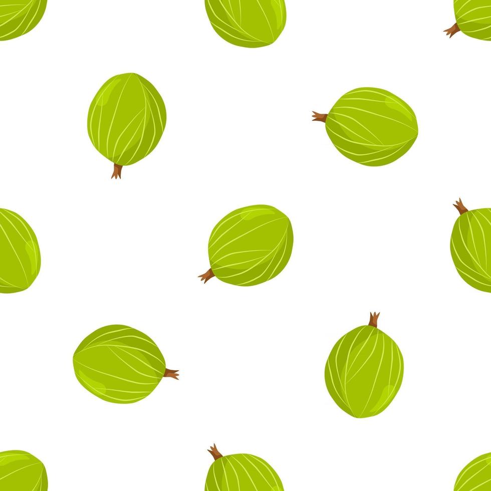 Theme big colored seamless gooseberry vector