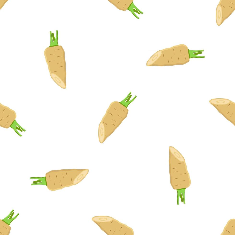 Illustration on theme of pattern plant parsnip vector