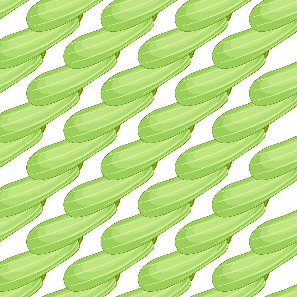 Ilustración sobre el tema del calabacín patrón brillante vector