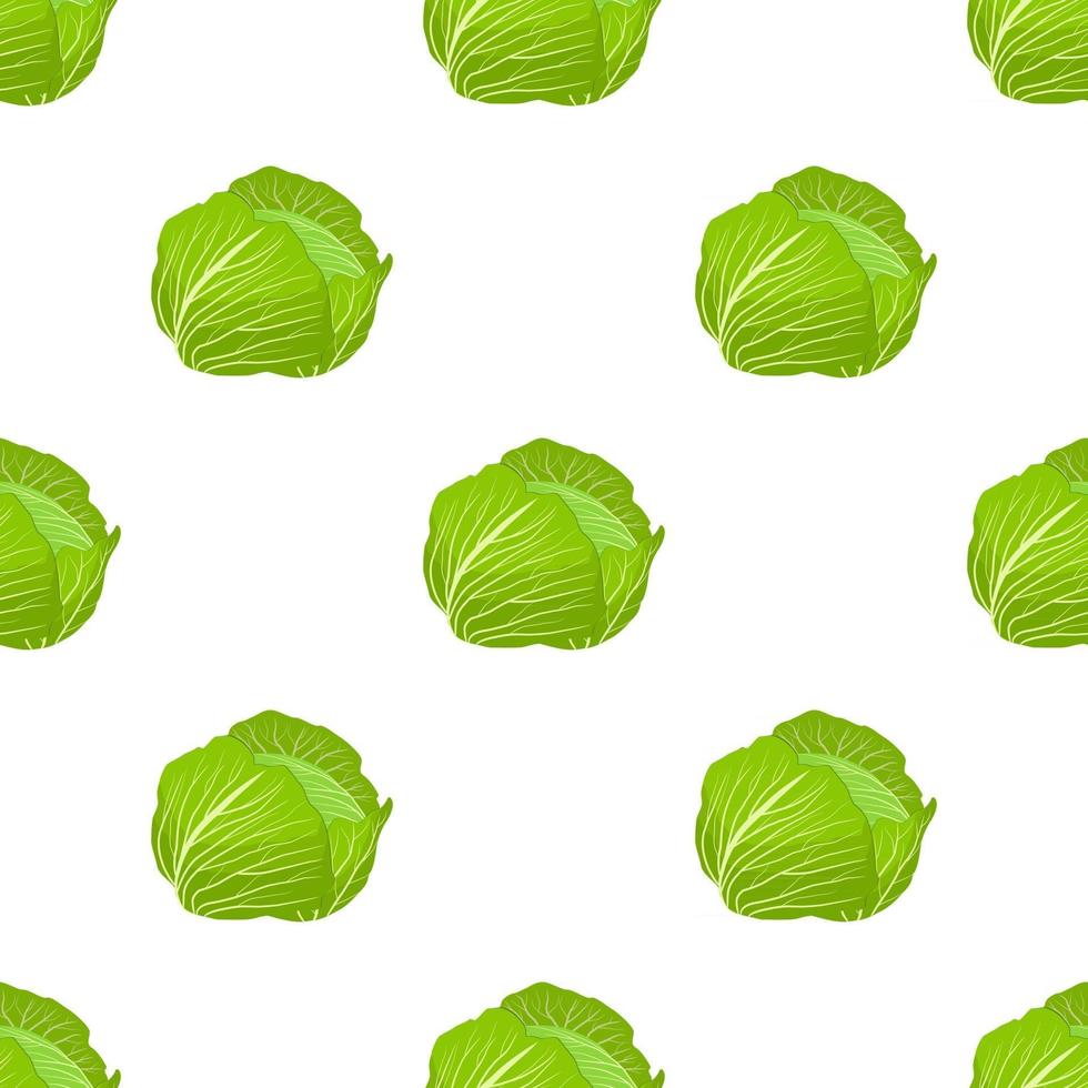 Illustration on theme of bright pattern rounded cabbage vector