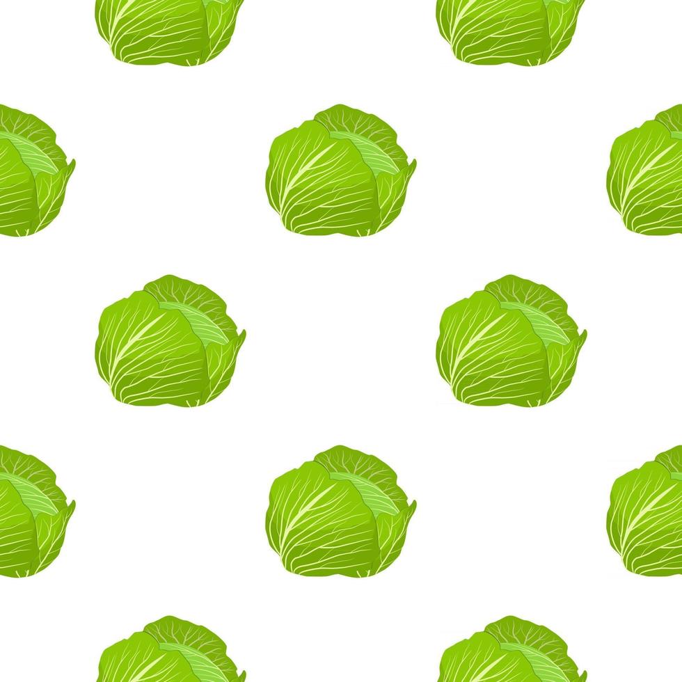 Illustration on theme of bright pattern rounded cabbage vector