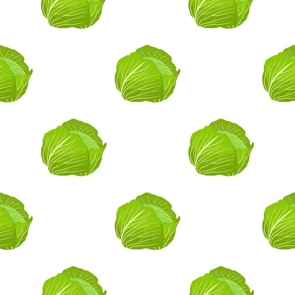 Illustration on theme of bright pattern rounded cabbage vector