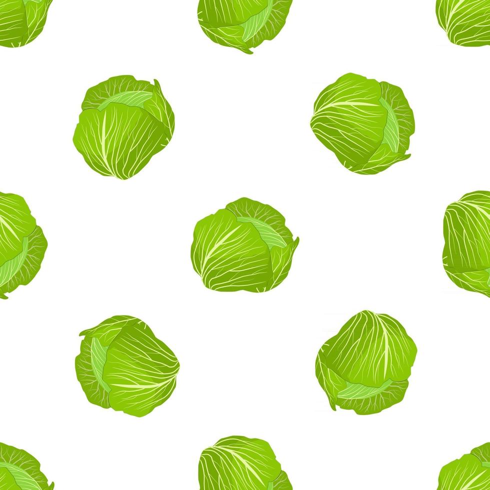 Illustration on theme of bright pattern rounded cabbage vector