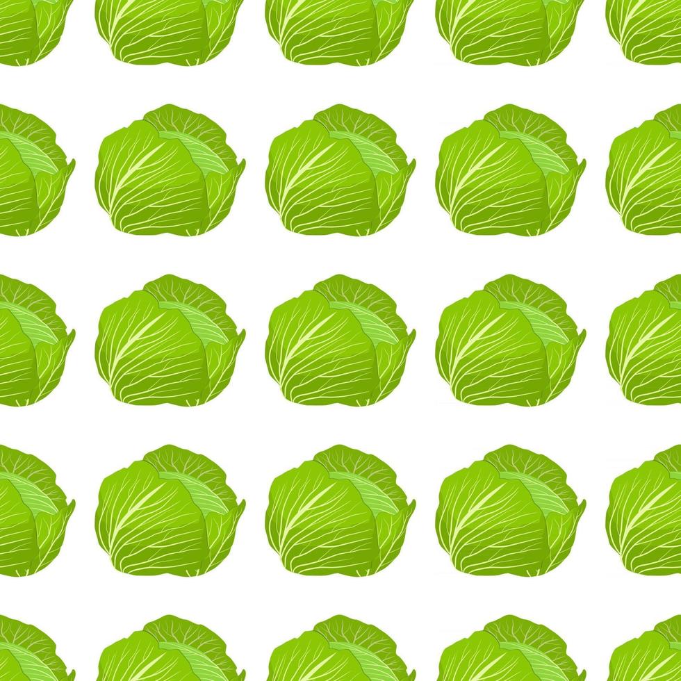 Illustration on theme of bright pattern rounded cabbage vector