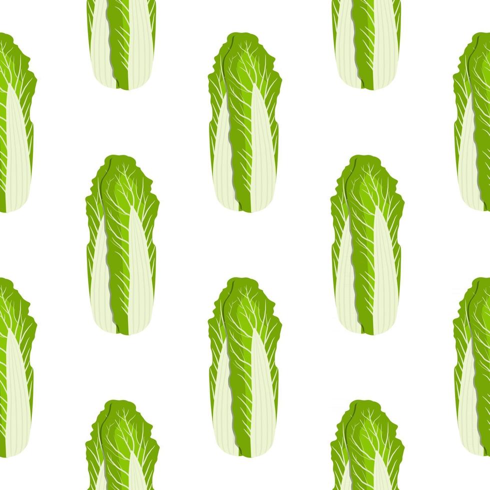 Simple colorful vegetable pattern from salad chinese cabbage vector