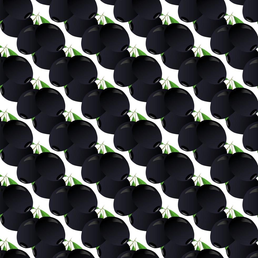 Illustration on theme of bright pattern italian olive vector