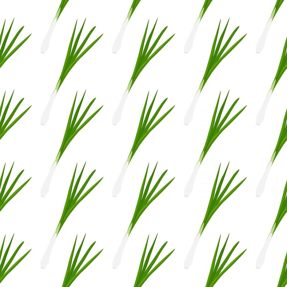 Ilustración sobre el tema de la cebolla verde de patrón brillante vector