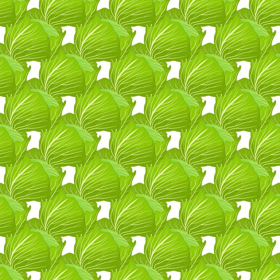 Illustration on theme of bright pattern rounded cabbage vector