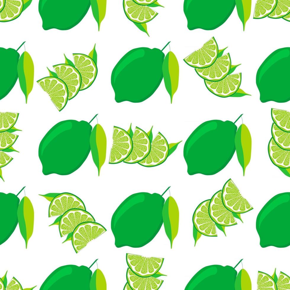 Illustration on theme big colored seamless green lime vector