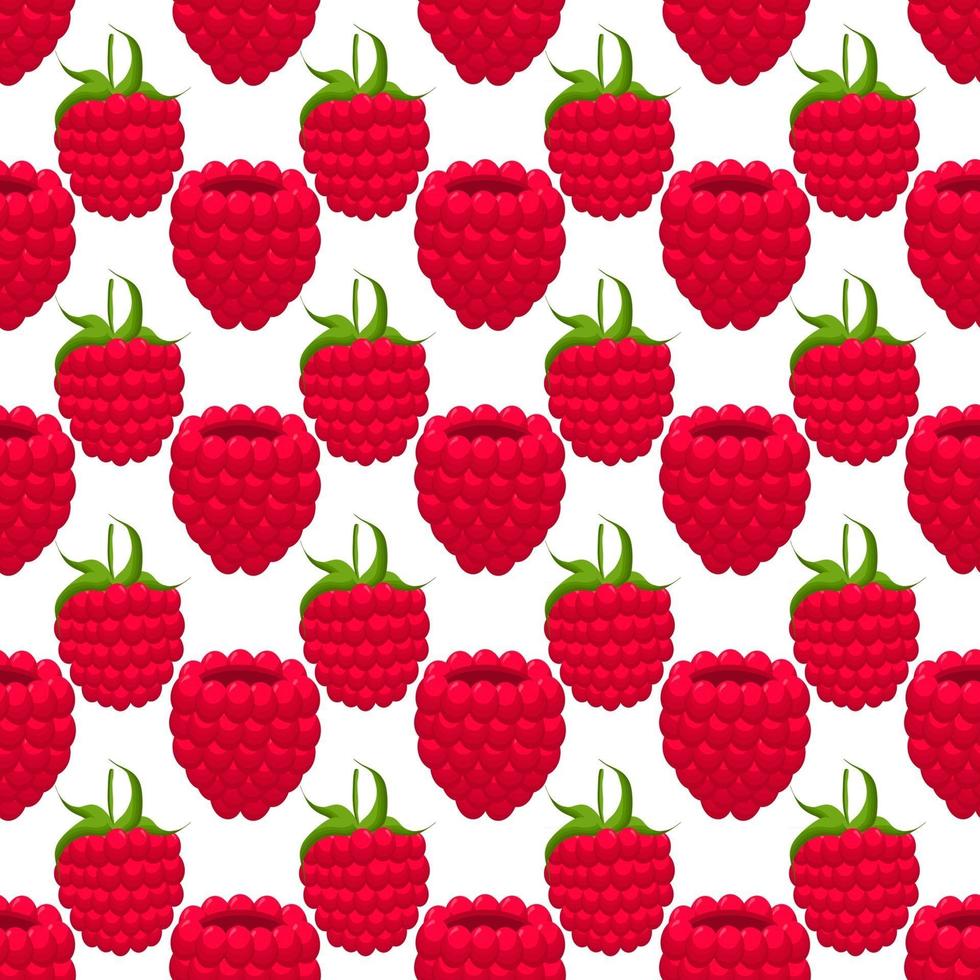 Theme big colored seamless red raspberry vector