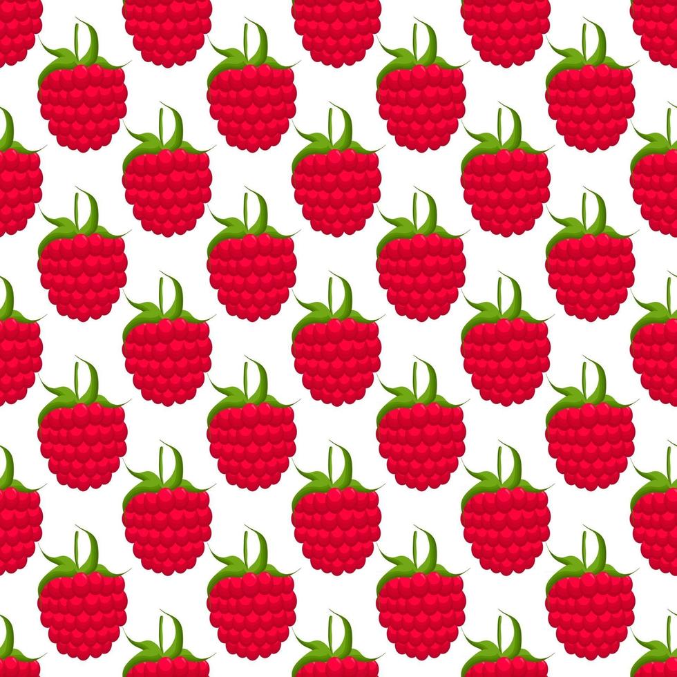 Theme big colored seamless red raspberry vector