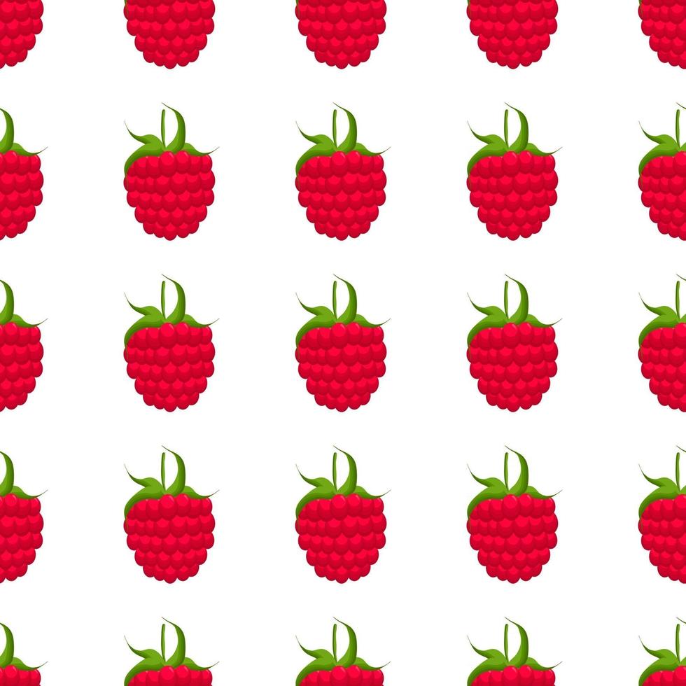 Theme big colored seamless red raspberry vector