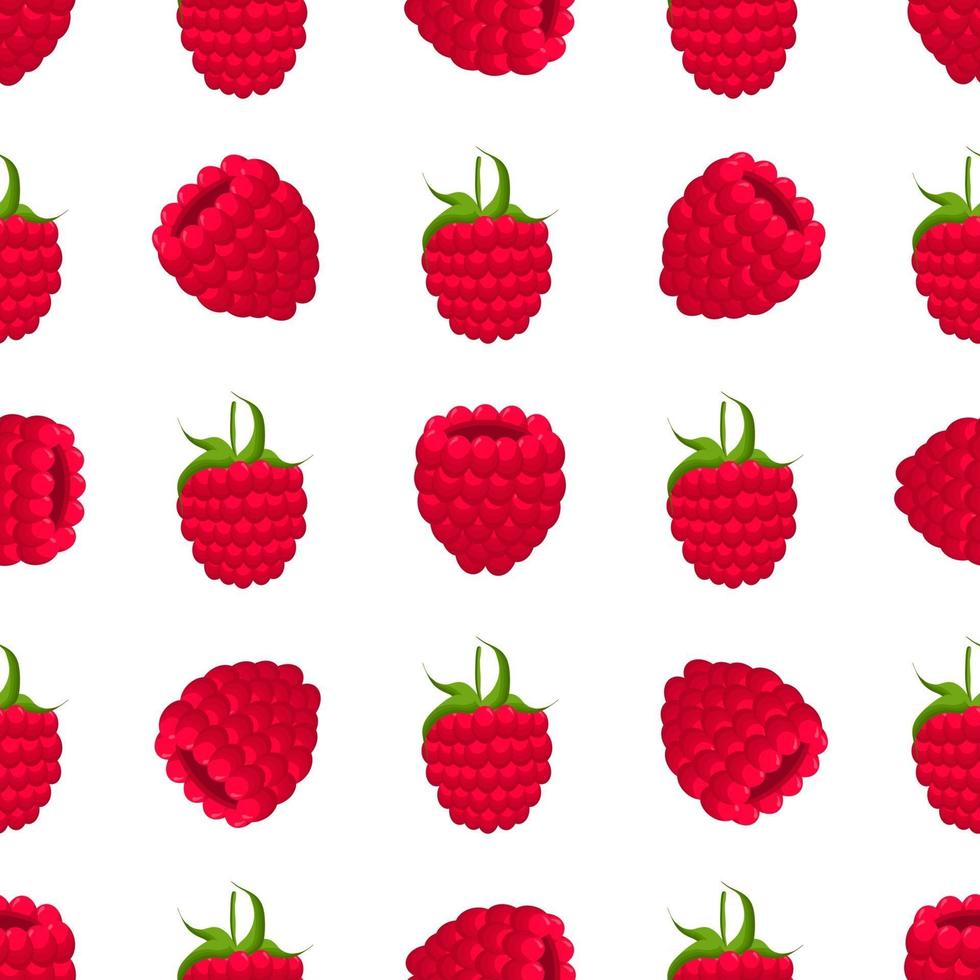 Theme big colored seamless red raspberry vector