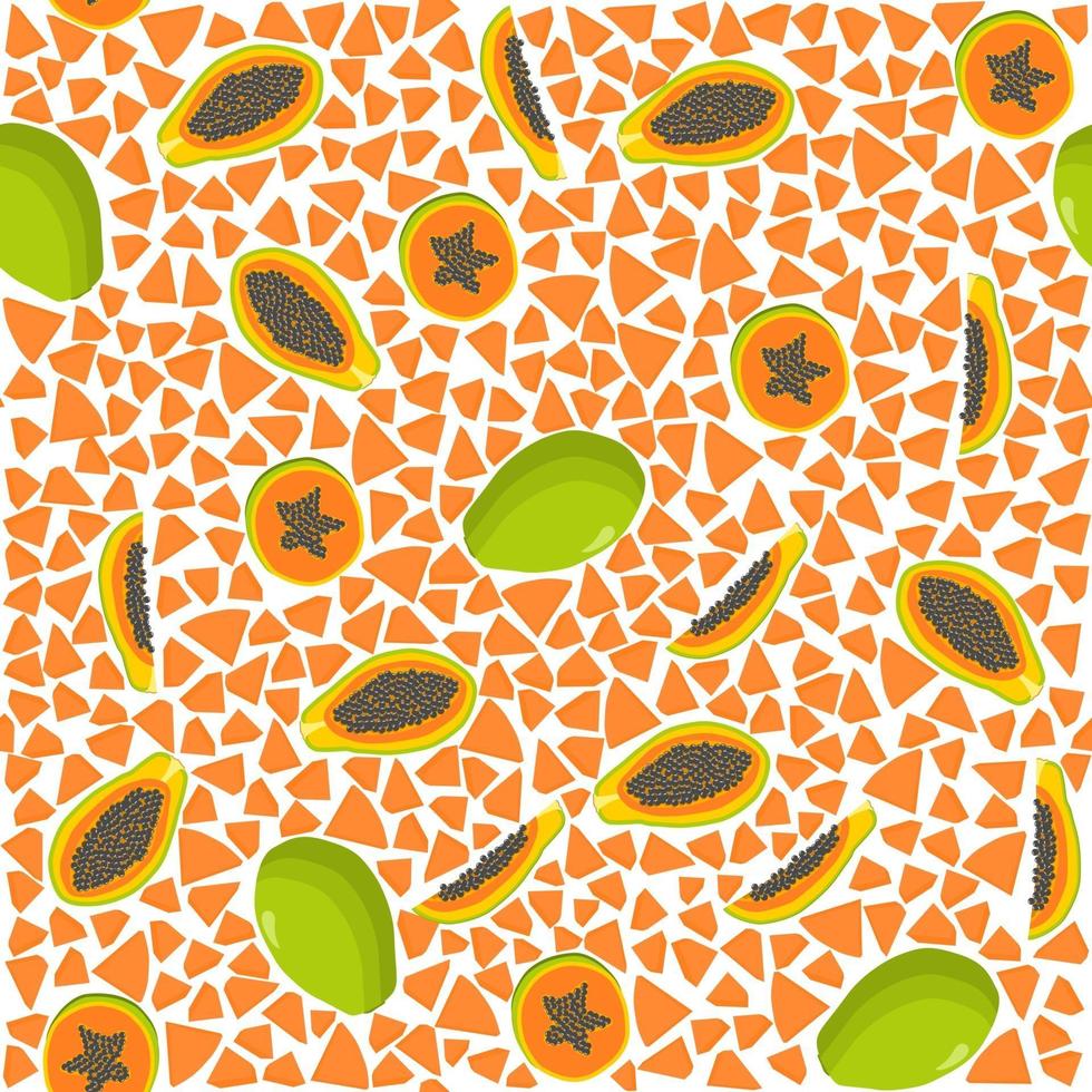 Ilustración sobre el tema de la papaya transparente de color grande vector