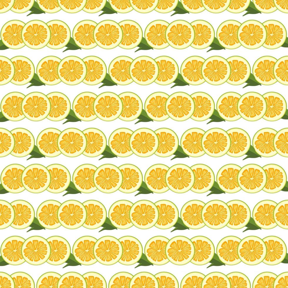 Ilustración sobre tema pomelo transparente de color grande vector