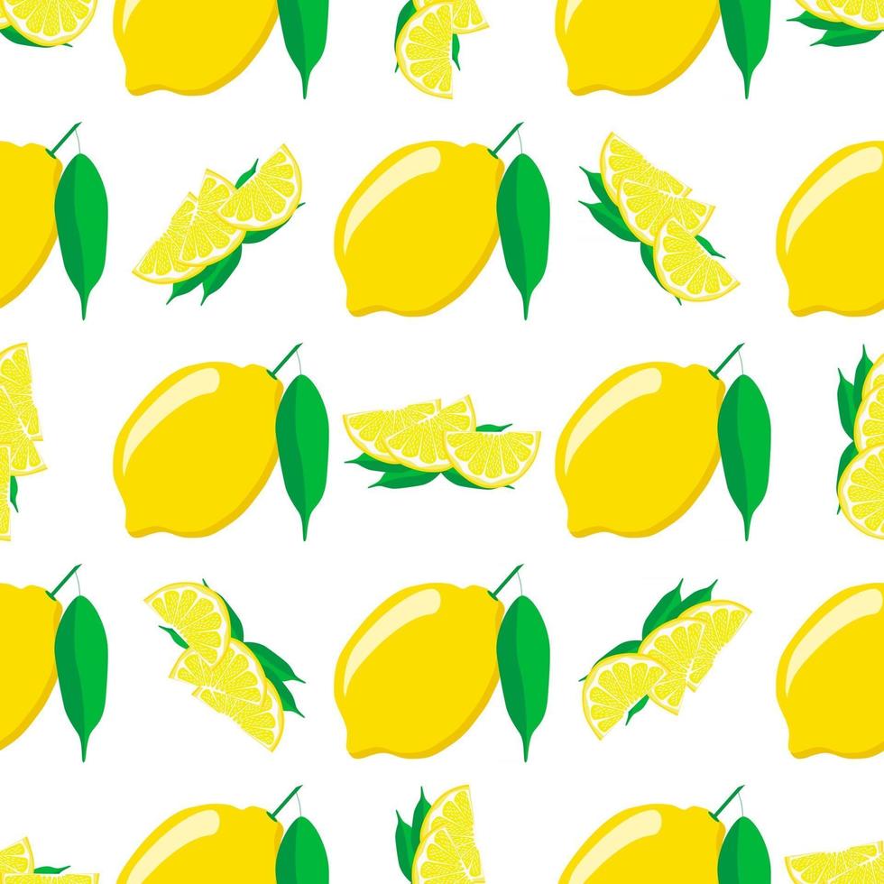 Illustration on theme big colored seamless yellow lemon vector