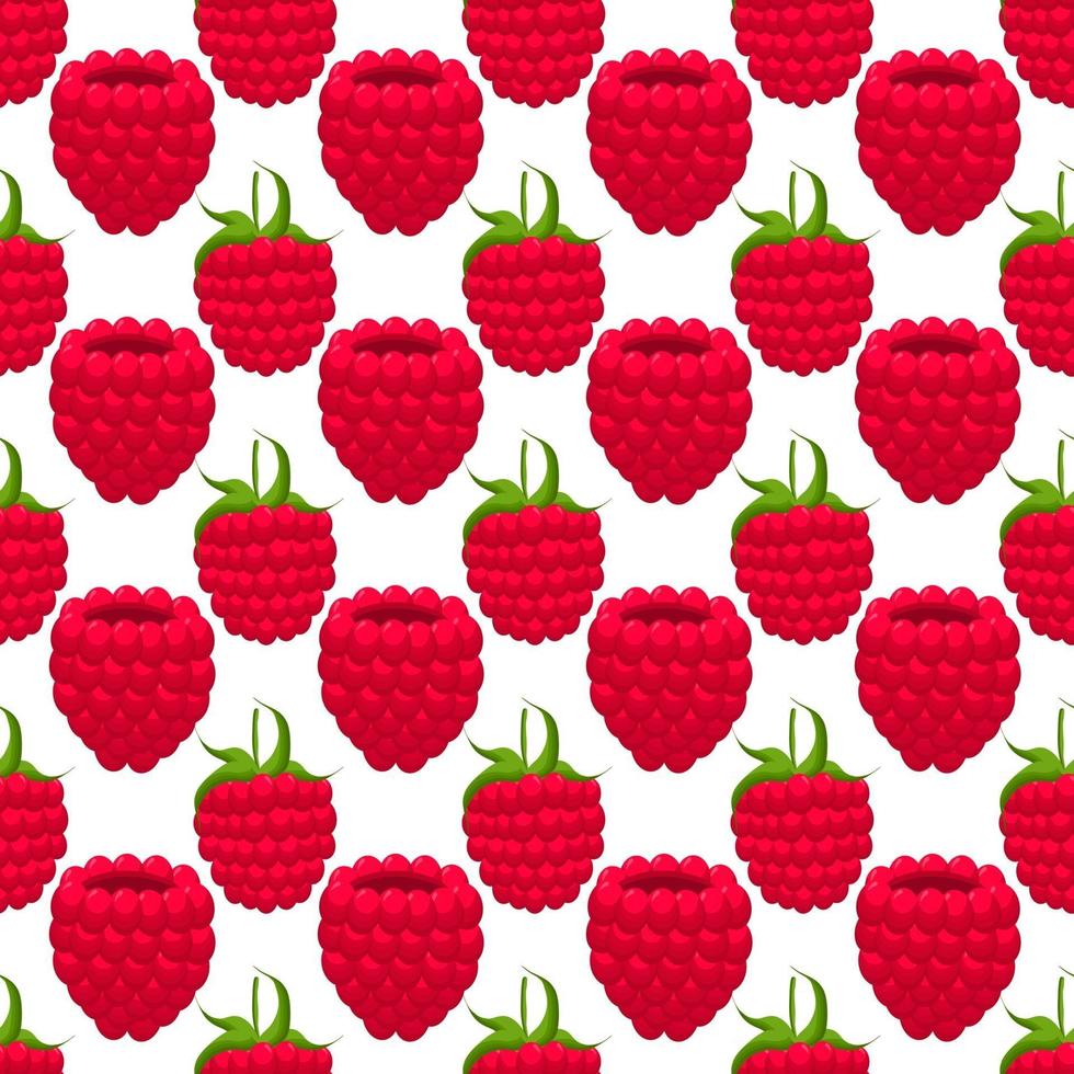 Theme big colored seamless red raspberry vector