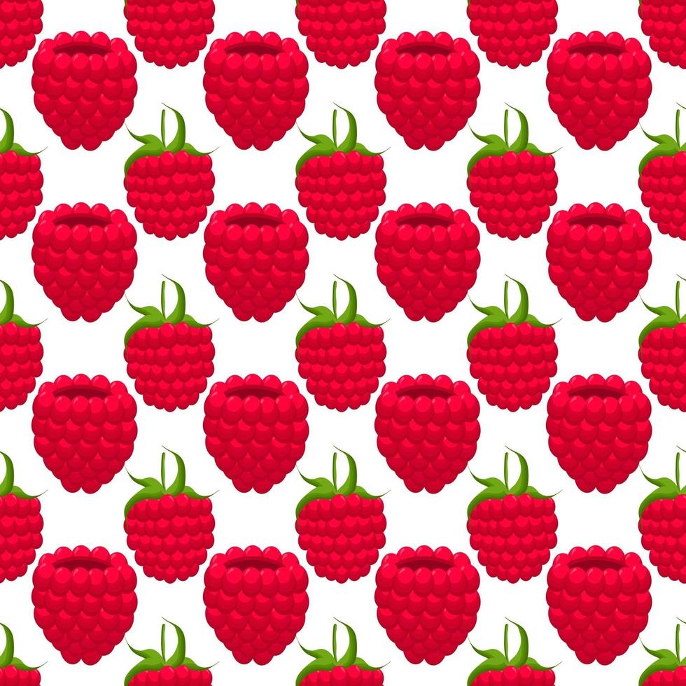 Theme big colored seamless red raspberry vector