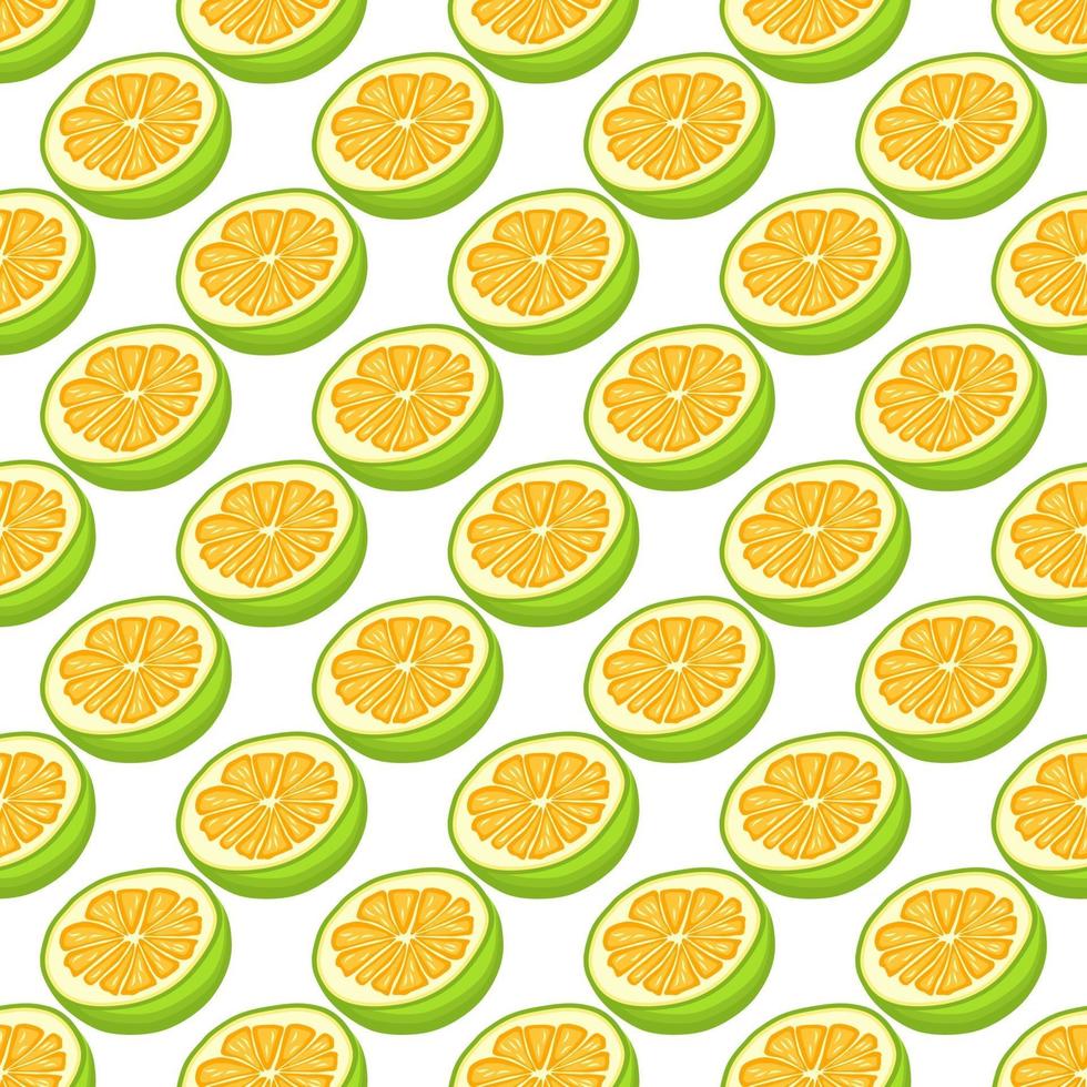 Illustration on theme big colored seamless pomelo vector