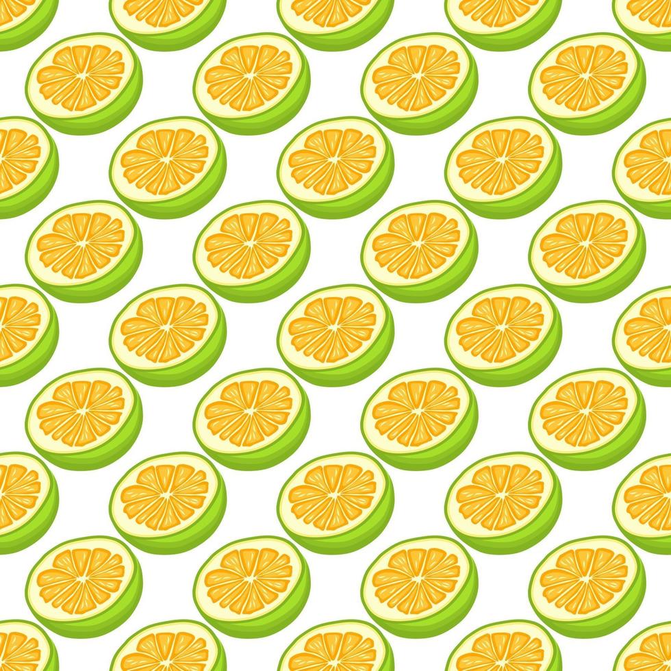 Illustration on theme big colored seamless pomelo vector