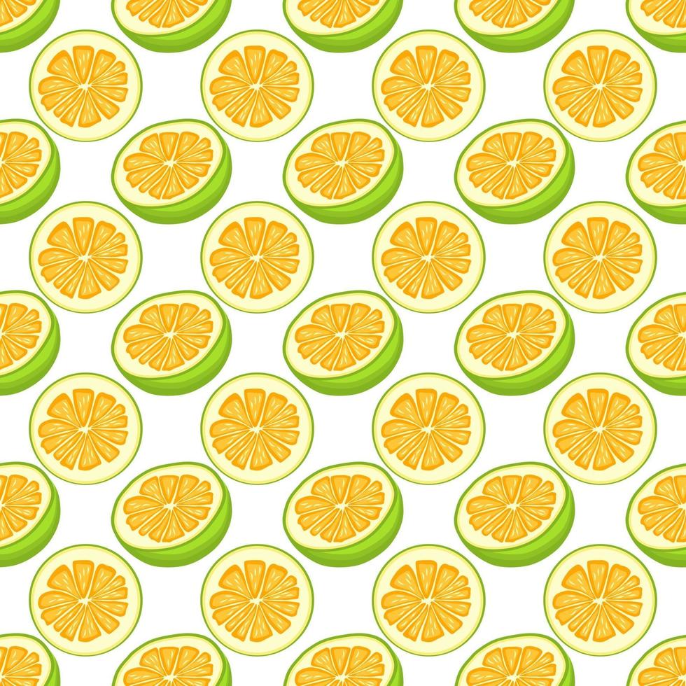 Ilustración sobre tema pomelo transparente de color grande vector