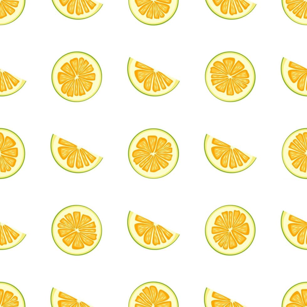 Illustration on theme big colored seamless pomelo vector