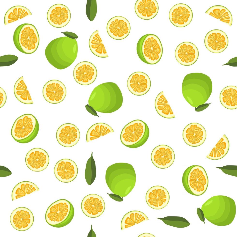 Illustration on theme big colored seamless pomelo vector