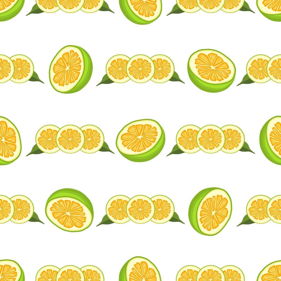 Illustration on theme big colored seamless pomelo vector