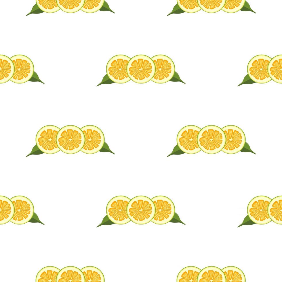 Illustration on theme big colored seamless pomelo vector