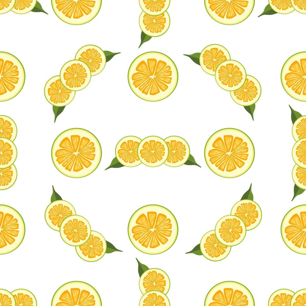 Illustration on theme big colored seamless pomelo vector