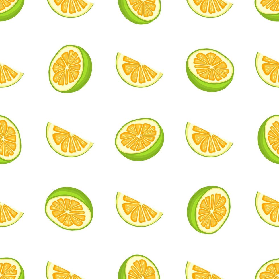 Illustration on theme big colored seamless pomelo vector