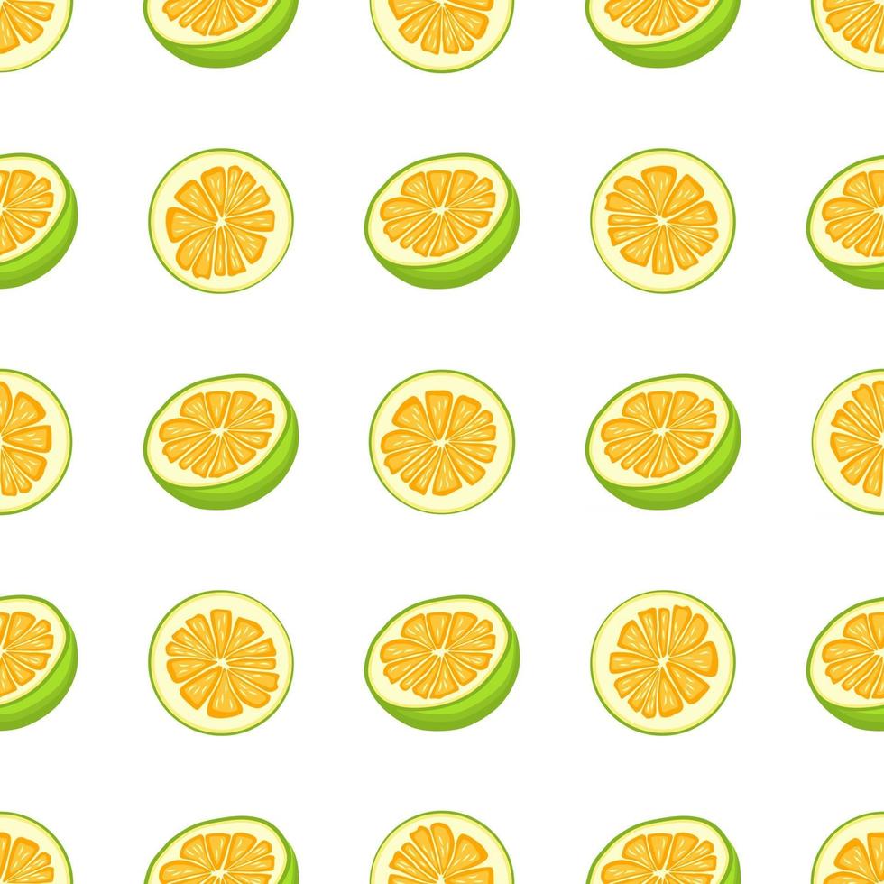 Illustration on theme big colored seamless pomelo vector