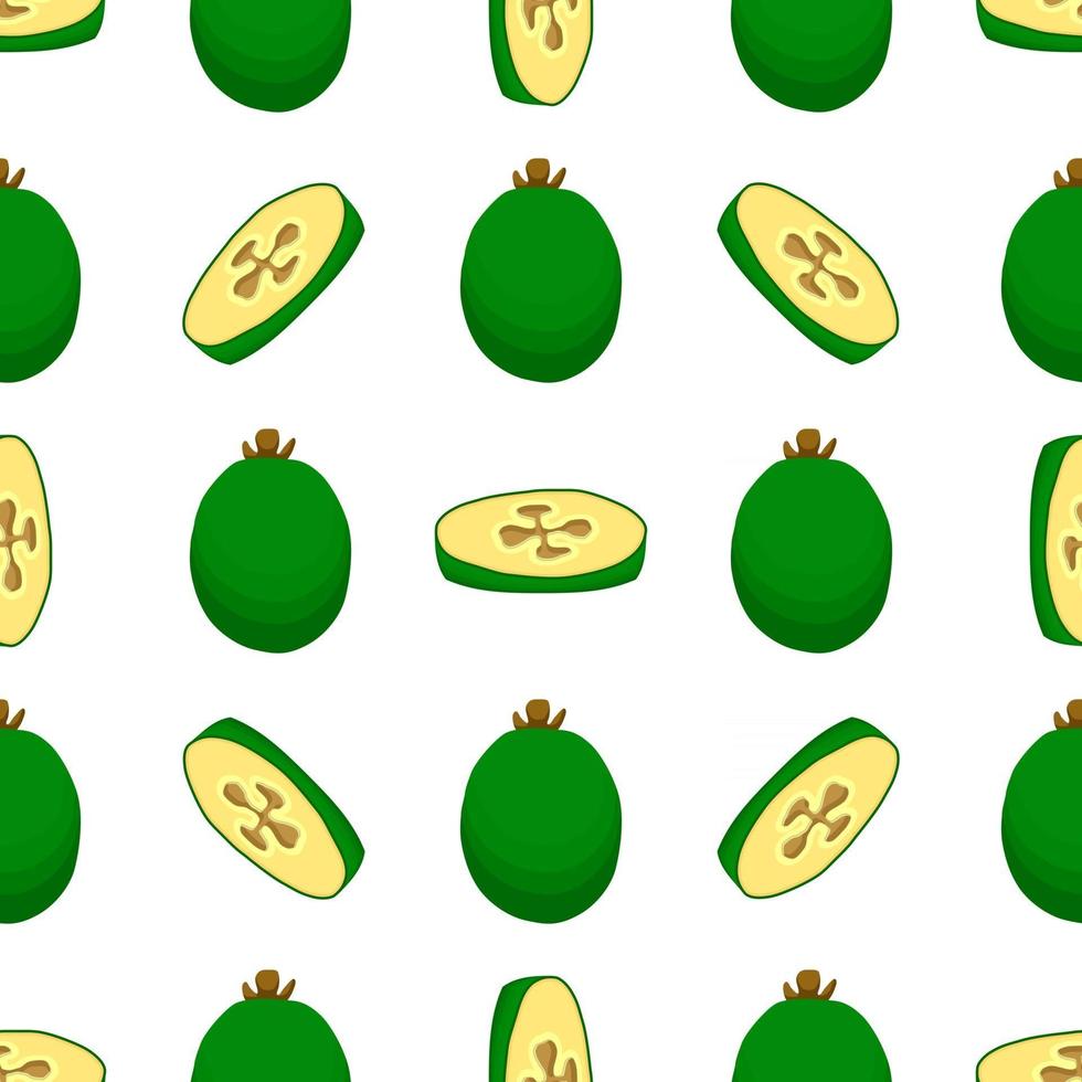 Illustration on theme big colored seamless feijoa vector