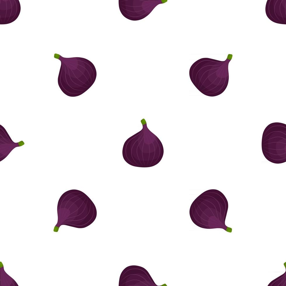 Illustration on theme big colored seamless purple fig vector