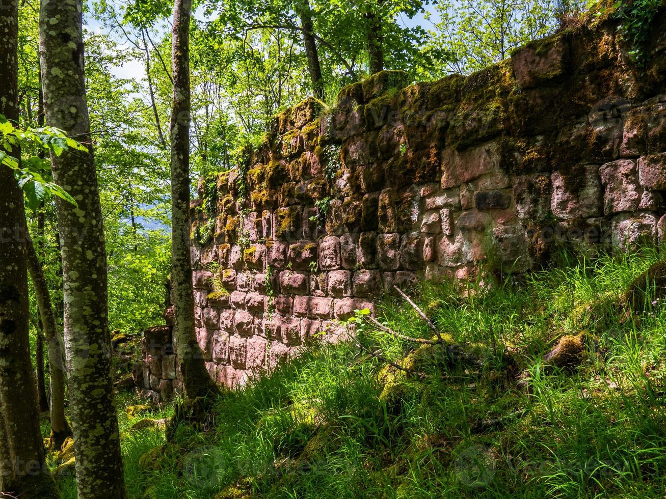 Ruinas del castillo medieval de Nidek en las montañas Vosgos, Alsacia foto