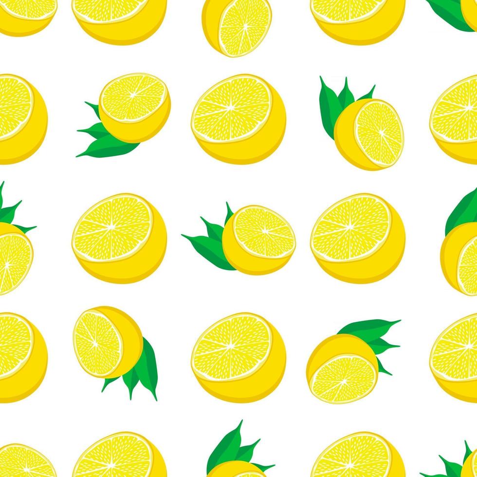 Illustration on theme big colored seamless yellow lemon vector