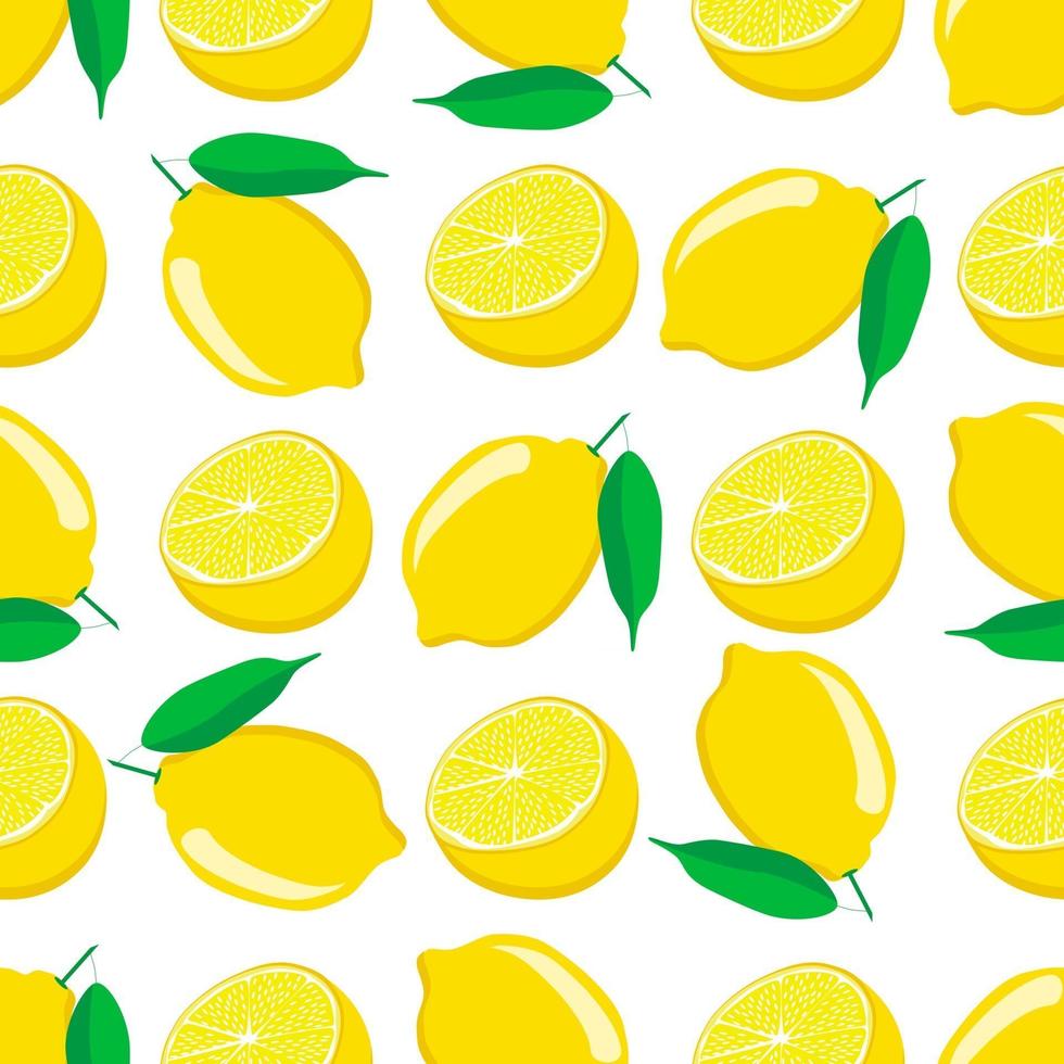 Illustration on theme big colored seamless yellow lemon vector