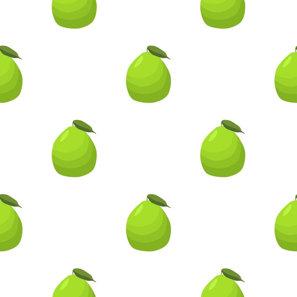 Ilustración sobre tema pomelo transparente de color grande vector