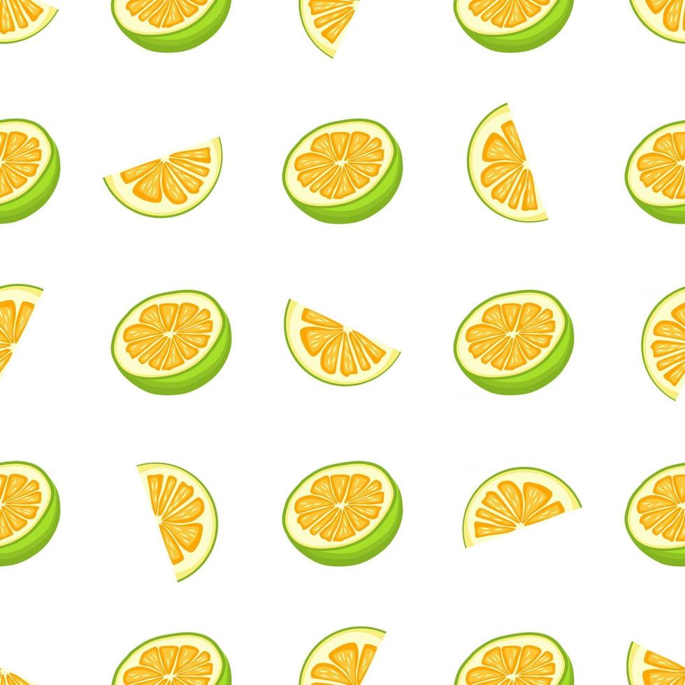 Illustration on theme big colored seamless pomelo vector